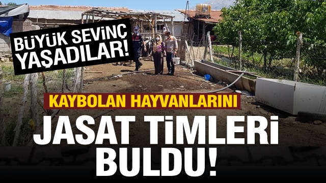 Isparta'da JASAT timleri kaybolan hayvanları bulup sahibine teslim etti