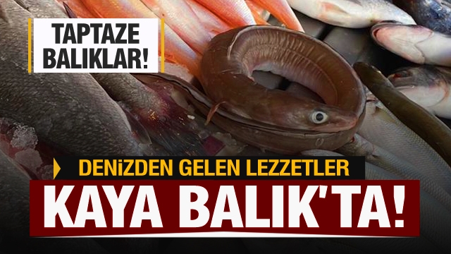 Isparta'da Kaya Balık En Lezzetli Balıkları Sizlerle Buluşturuyor...