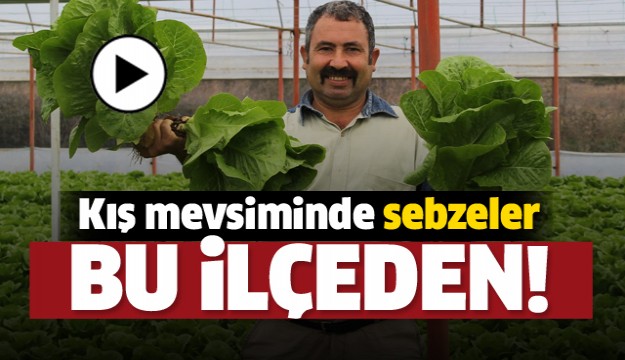 Isparta'da Kış Mevsiminde Sebzeler Bu İlçeden