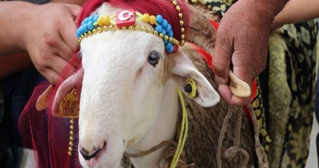 Isparta'da Kurban Bayramı Tedbirleri 2022