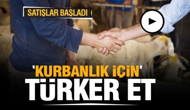 Isparta'da Kurbanlık büyükbaş ve küçükbaş hayvan satışı için Türker Et