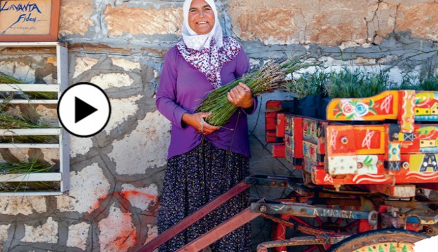 Isparta'da Lavanta Kokulu Köy projesi