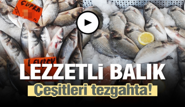 Isparta'da lezzetli Balık Çeşitleri Tezgahları Süsledi