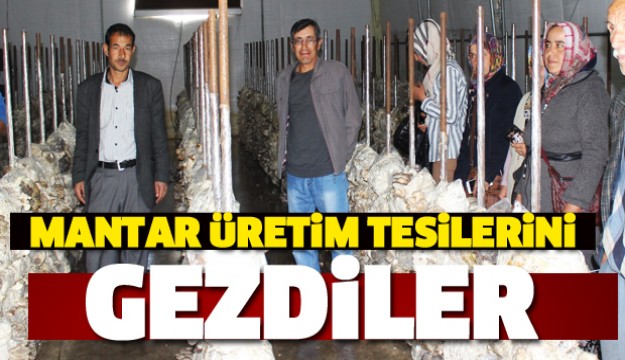 ISPARTA'DA MANTAR ÜRETİM TESİSLERİ