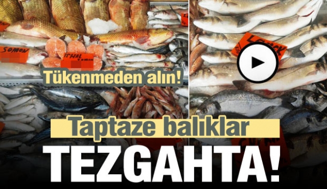 Isparta'da mevsimin en taze balıkları tezgahta...