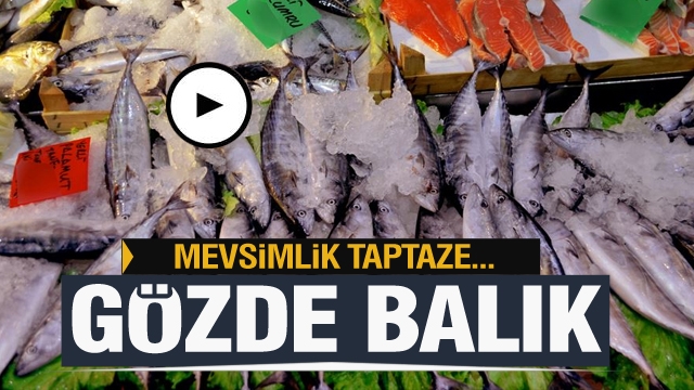 Isparta'da mevsimlik taze balık çeşitleri Gözde Balık'ta