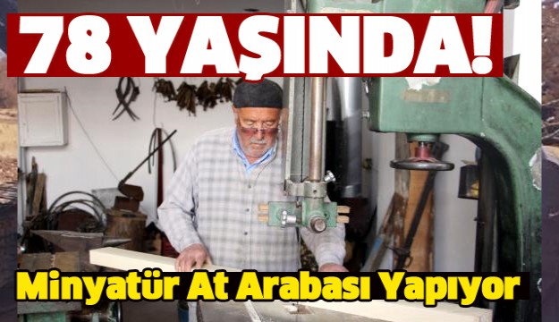 ISPARTA'DA MİNYATÜR AT ARABASI YAPIYOR