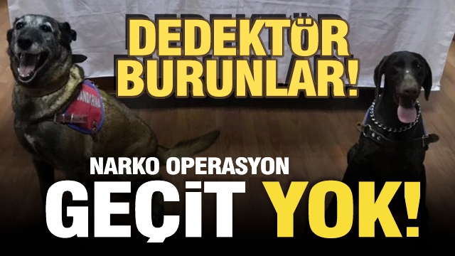 Isparta'da narkotik operasyon!