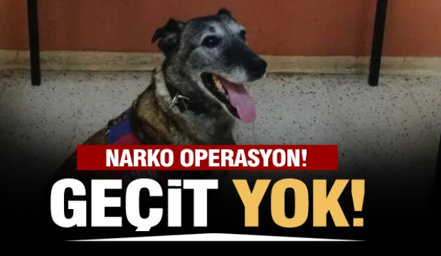 Isparta'da narkotik operasyon!