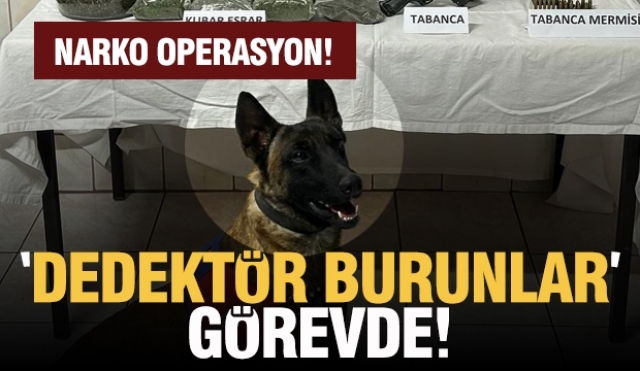 Isparta'da Narkotik Operasyon