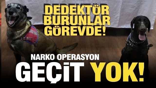 ISPARTA'DA NARKOTİK OPERASYON! DEDEKTÖR BURUNLAR GÖREVDE