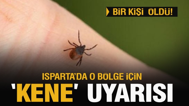 Isparta'da o bölge için kene uyarısı! 1 kişi öldü!