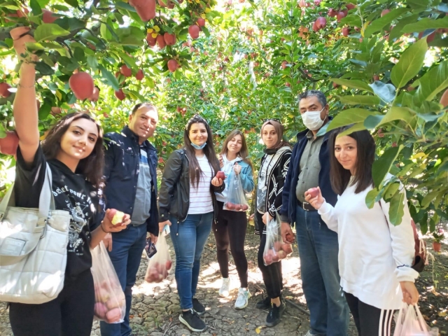Isparta'da öğrenciler elma hasadına katıldı