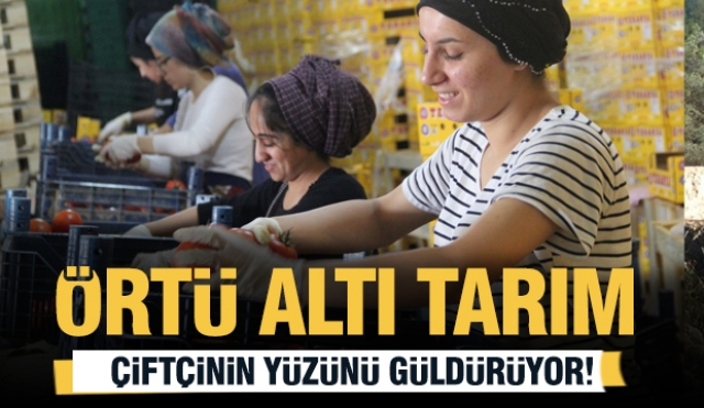 Isparta'da Örtü Altı Tarım Çiftçinin Yüzünü Güldürüyor
