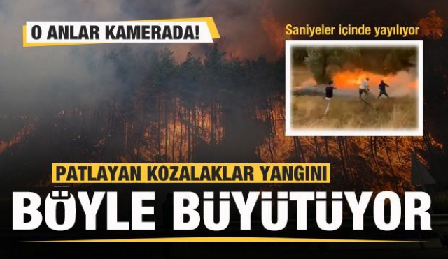 Isparta'da patlayan kozaklar yangını büyütüyor