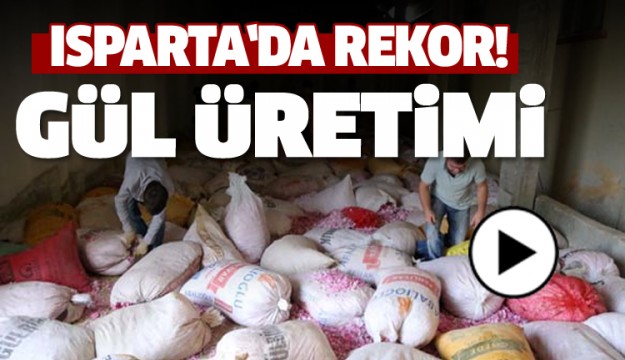 ISPARTA'DA REKOR GÜL ÜRETİMİ GERÇEKLEŞTİ...
