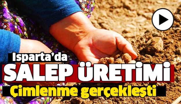 ISPARTA'DA SALEP ÜRETİMİ BAŞLADI