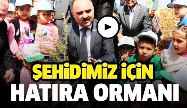 Isparta'da Şehidimiz için hatıra ormanı oluşturuldu