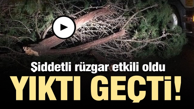 Isparta'da şiddetli rüzgar etkisini gösterdi - Yıktı Geçti...!