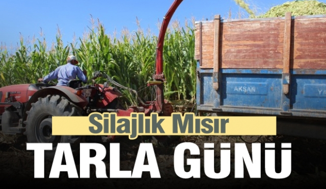 Isparta'da Silajlık Mısır Tarla Günü Düzenlendi