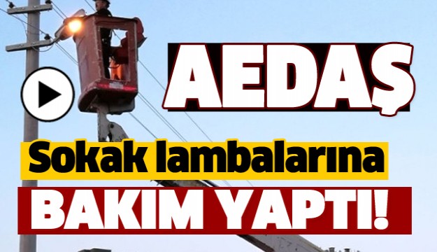 ISPARTA'DA SOKAK LAMBALARINA BAKIM YAPILDI