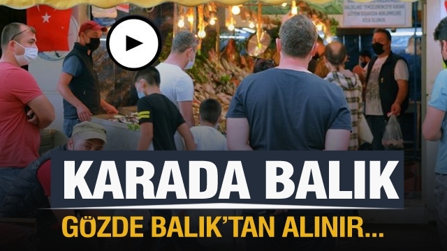 Isparta'da taptaze mevsimlik Gözde Balık