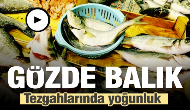 isparta da taze baligin tek adresi gozde balik tezgahlari yogun ilgi goruyor detaylar icin tiklayin