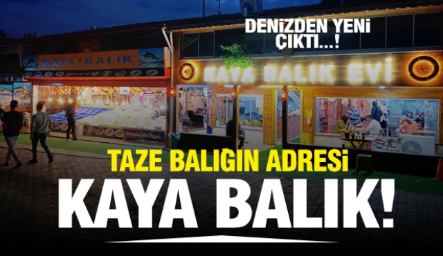 ISPARTA'DA TAZE BALIK MI ARADINIZ? O ZAMAN KAYA BALIK...!