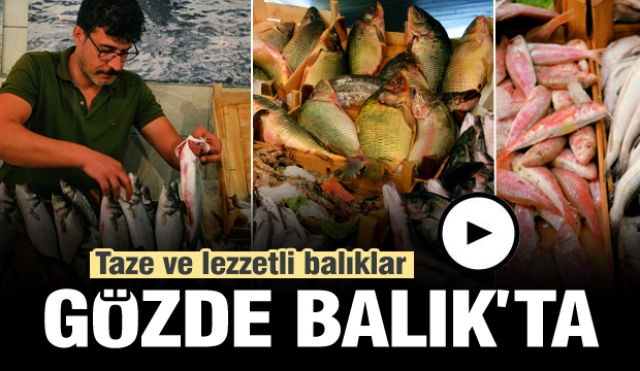 Isparta'da taze balıklar Gözde Balık tezgahlarında