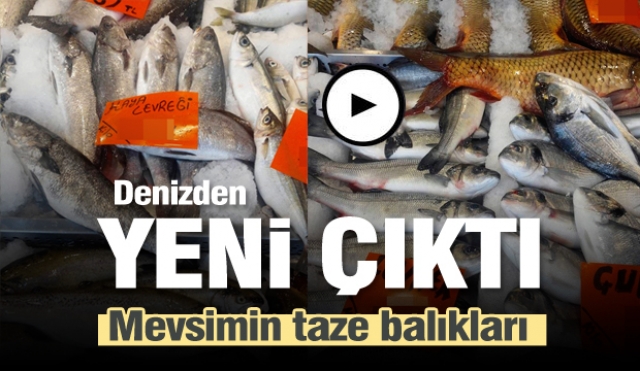 ISPARTA'DA TAZE BALIKLAR TEZGAHLARDA...