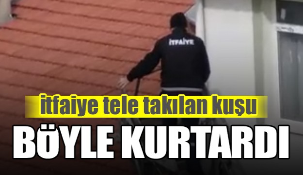 Isparta'da tele takılan kuşu itfaiye kurtardı