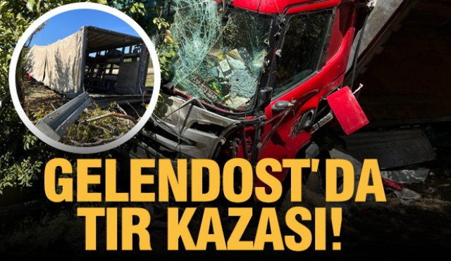 ISPARTA'DA TRAFİK KAZASI TIR TARLAYA GİRDİ!