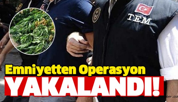 Isparta'da Uyuşturucu Operasyonu