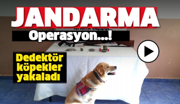 Isparta'da Uyuşturucu Operasyonu! Dedektör Köpekler Yakaladı