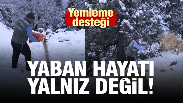 Isparta'da Yaban Hayvanlarına Yemleme Desteği