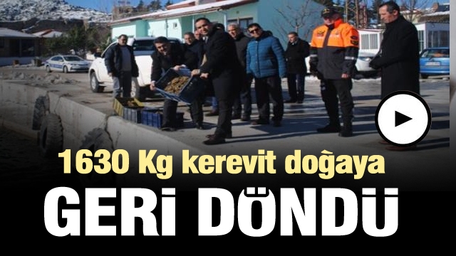 Isparta'da yaklaşık 1630 Kg kerevit göle bırakıldı