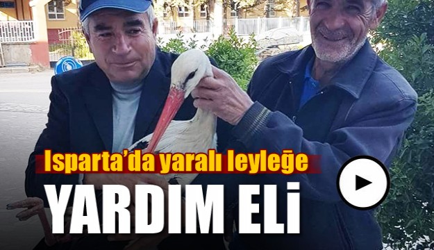 Isparta'da Yaralı leyleğe yardım eli 