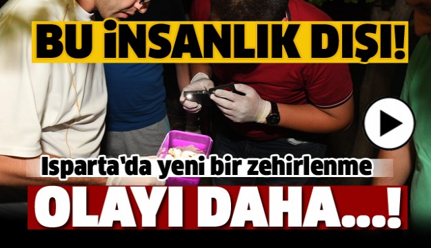 ISPARTA'DA YENİ BİR KÖPEK ZEHİRLENME OLAYI