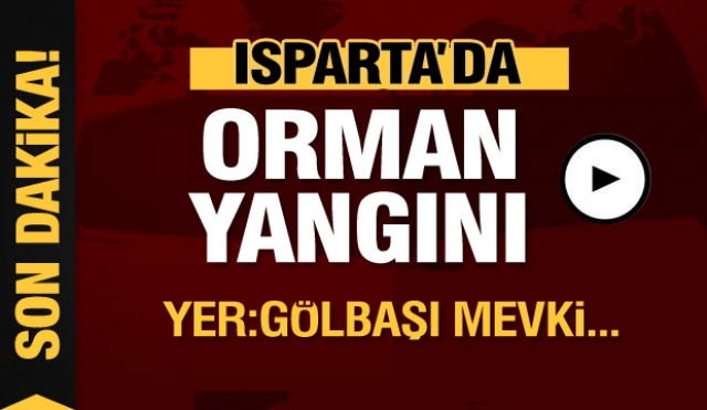 Isparta'da yeni bir orman yangını daha!