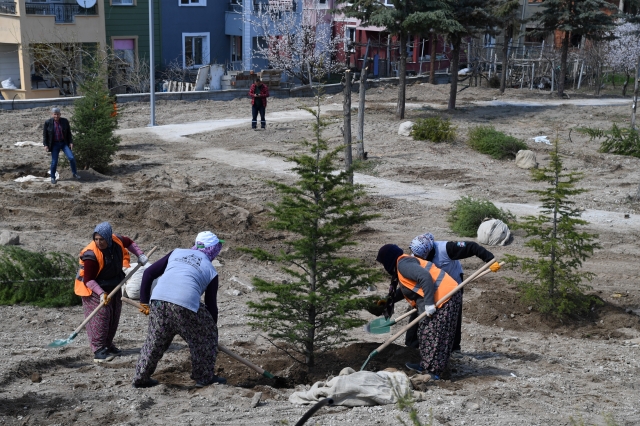 Isparta'da Yeni park alanları kazandırılıyor,
onlarca ağaç toprakla buluşuyor