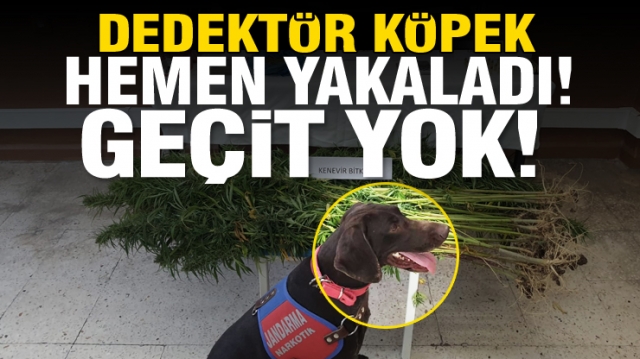 ISPARTA'DA ZEHİR TACİRLERİNE GEÇİT YOK!