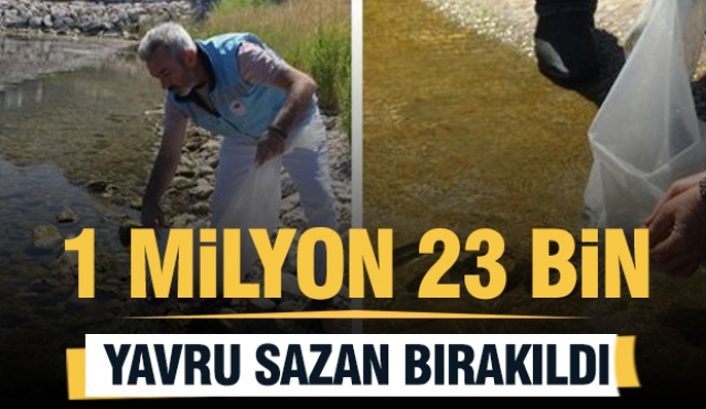 Isparta'daki Göl ve Göletlere 1 Milyon 23 Bin Adet Sazan Yavrusu Bırakıldı