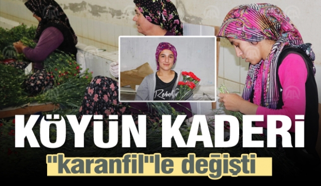 Isparta'daki Köyün kaderi "karanfil"le değişti