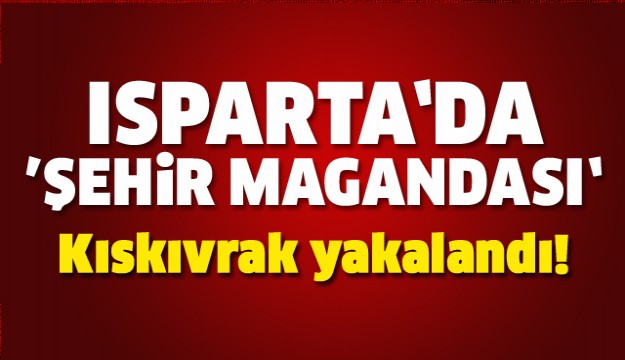 Isparta'daki 'Şehir Magandası' Kıskıvrak Yakalandı