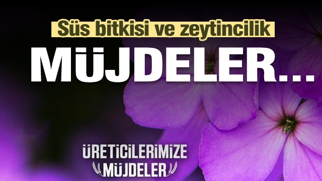 Isparta'daki süs bitkisi yetiştiricilerine müjde...