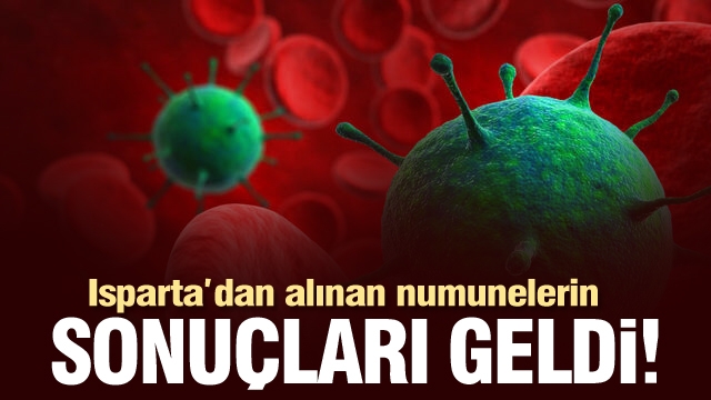 ISPARTA'DAN ALINAN 100 KAN NUMESİNİN SONUÇLARI GELDİ