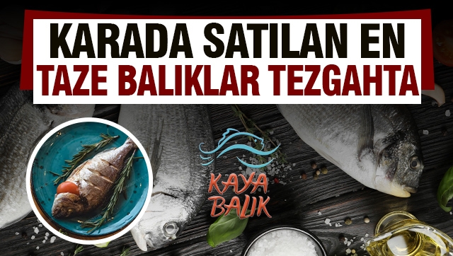 Isparta'nın en güzel balıkçı limanı Kaya Balık