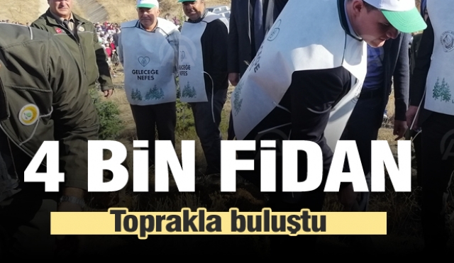 Isparta'nın Şarkikaraağaç ilçesinde 4 bin fidan dikildi