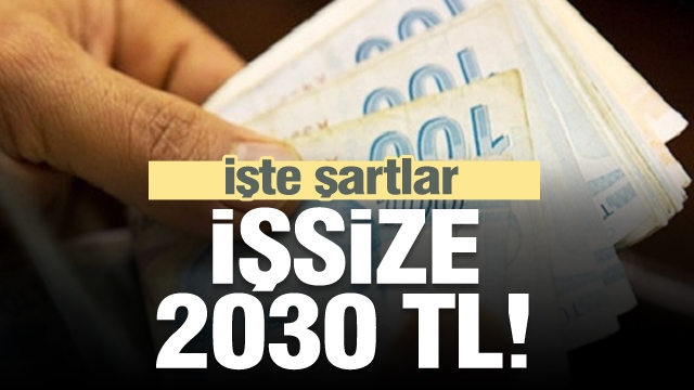 İşsize 2030 TL! İşte işsizlik maaşı almanın şartları