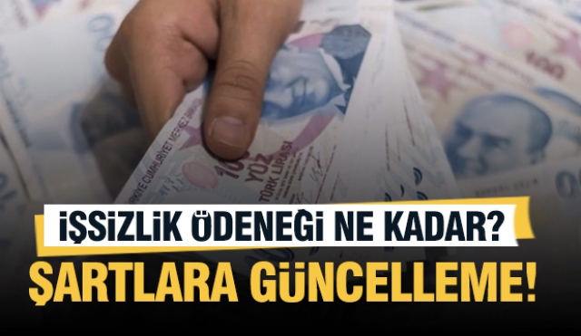 İşsizlik Maaşları Kaç TL Oldu? Şartlara Güncelleme Geldi